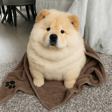 Before chonkification
